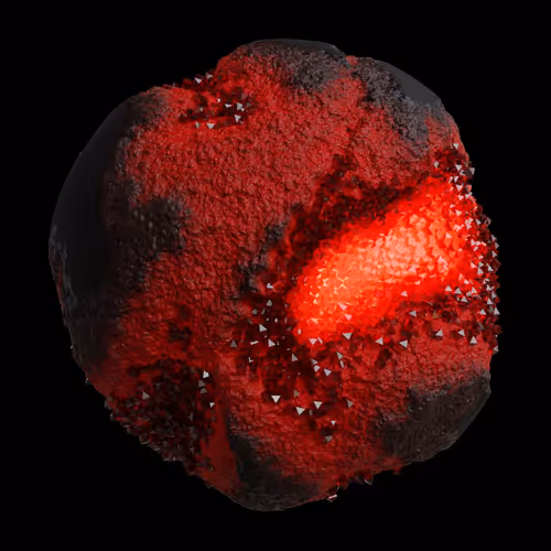 Asm Gen Ii Brains