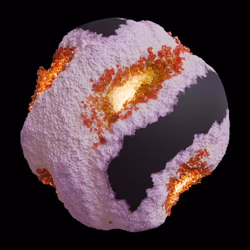 Asm Gen Ii Brains