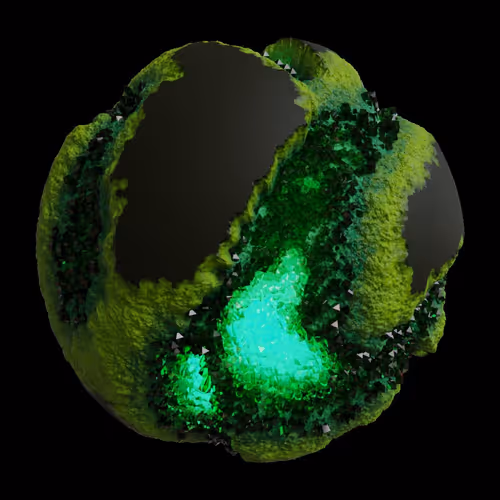 Asm Gen Ii Brains
