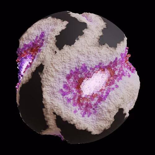 Asm Gen Ii Brains