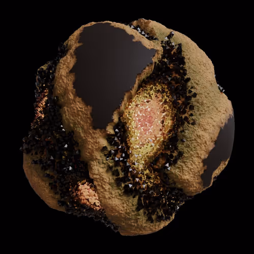Asm Gen Ii Brains