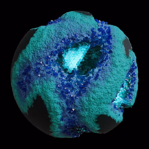 Asm Gen Ii Brains
