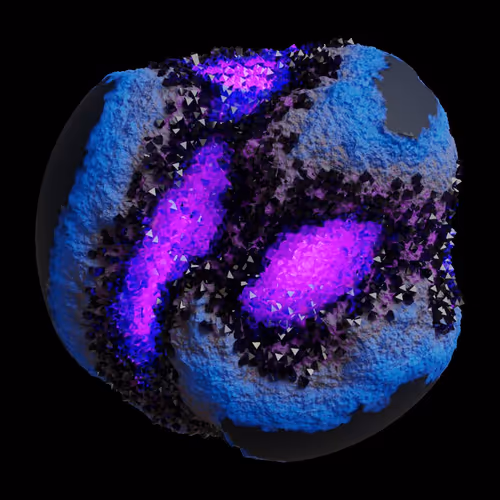 Asm Gen Ii Brains