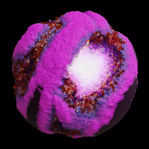 Asm Gen Ii Brains