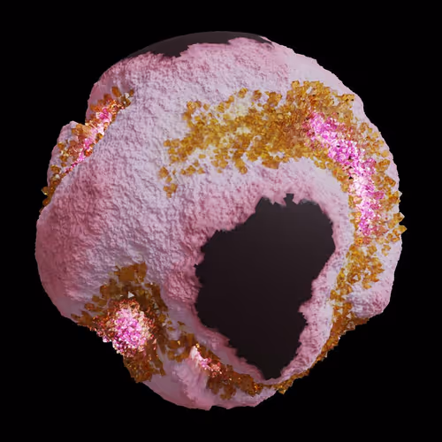 Asm Gen Ii Brains
