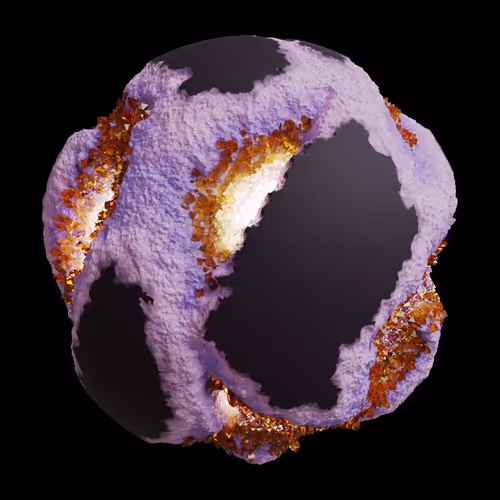 Asm Gen Ii Brains