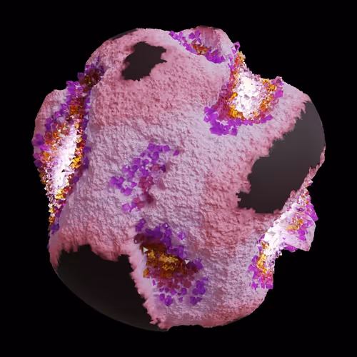Asm Gen Ii Brains