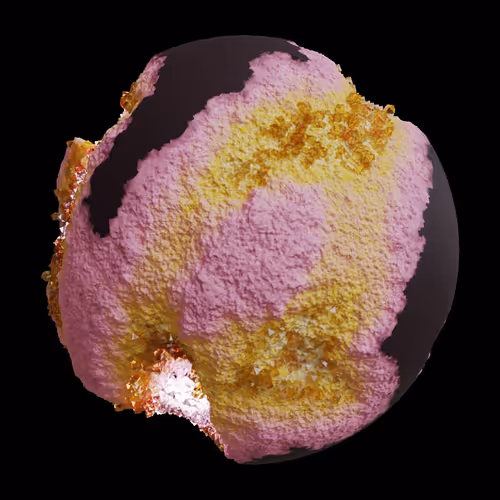 Asm Gen Ii Brains