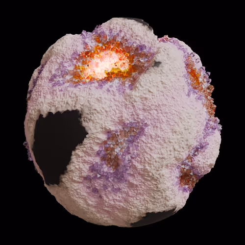 Asm Gen Ii Brains
