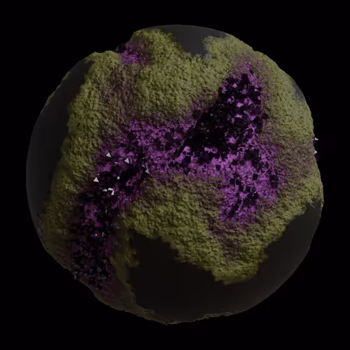 Asm Gen Ii Brains