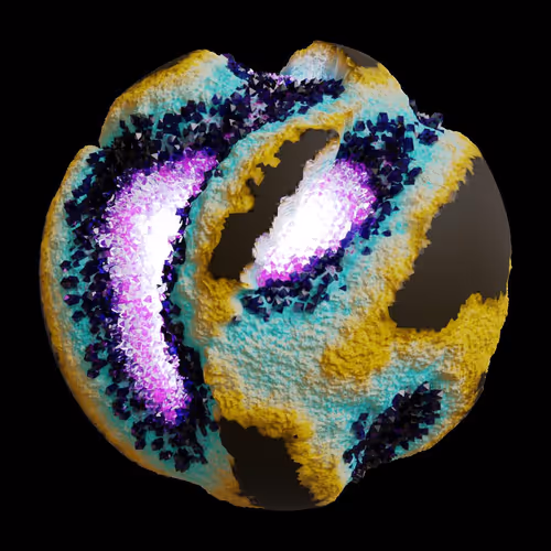 Asm Gen Ii Brains