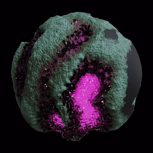 Asm Gen Ii Brains
