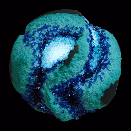 Asm Gen Ii Brains