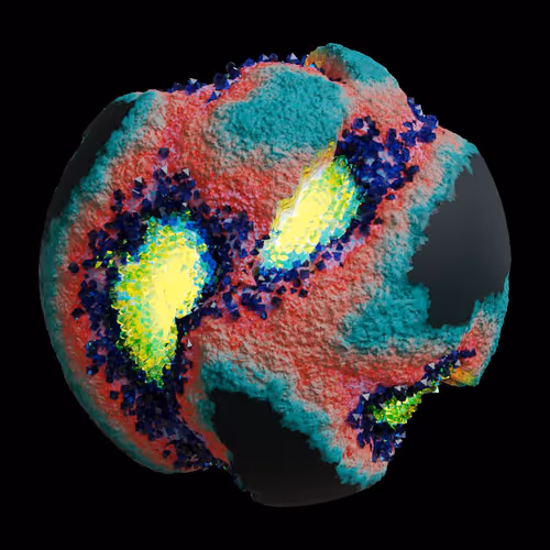 Asm Gen Ii Brains