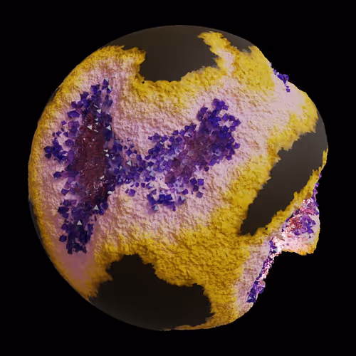 Asm Gen Ii Brains