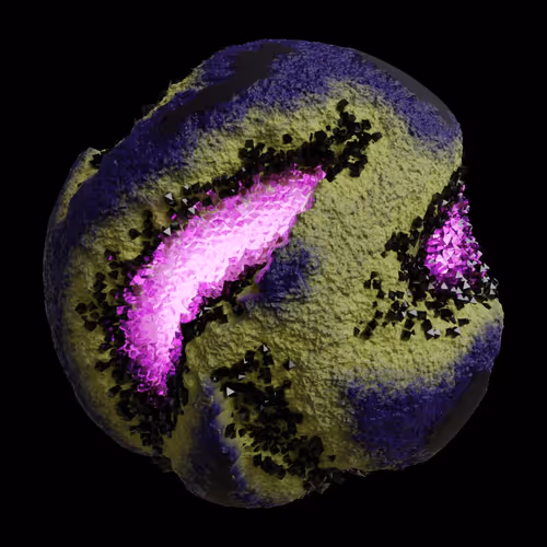 Asm Gen Ii Brains