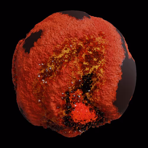 Asm Gen Ii Brains