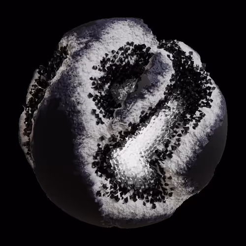 Asm Gen Ii Brains