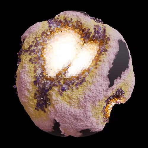 Asm Gen Ii Brains
