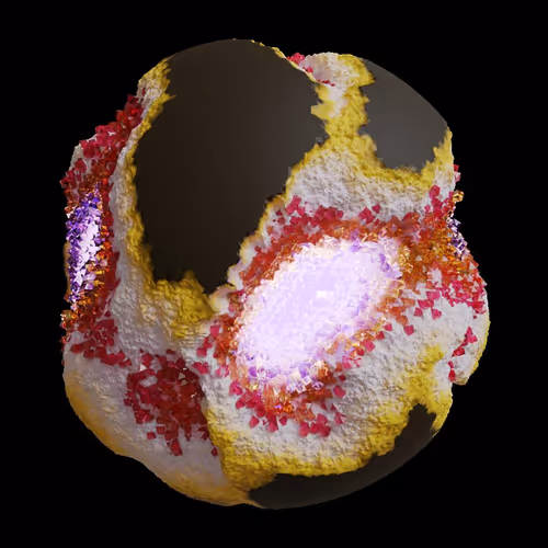 Asm Gen Ii Brains