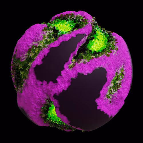 Asm Gen Ii Brains