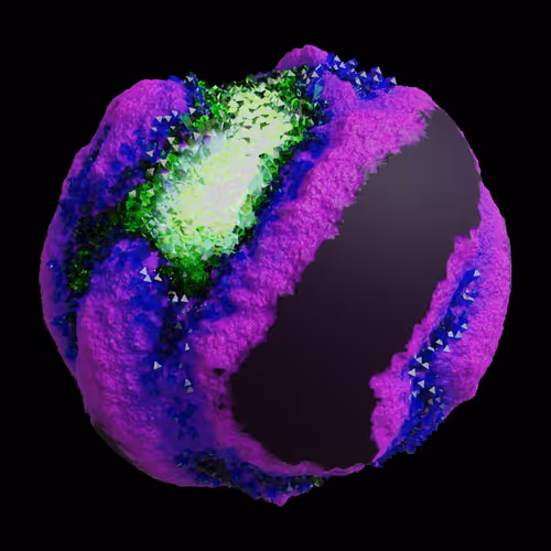 Asm Gen Ii Brains