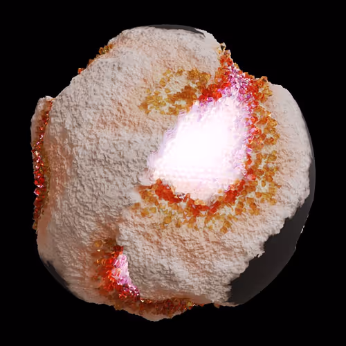 Asm Gen Ii Brains