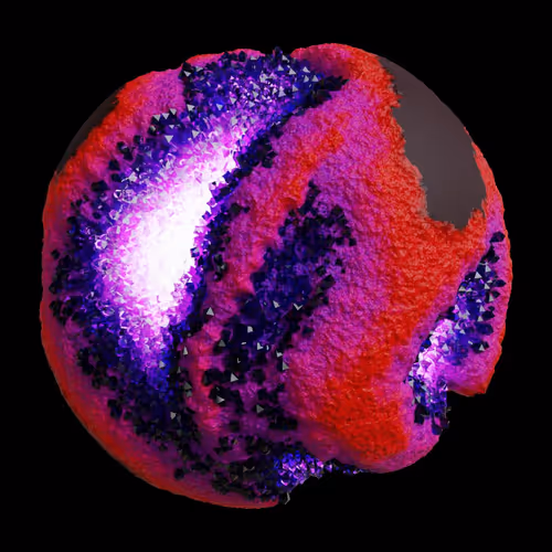 Asm Gen Ii Brains
