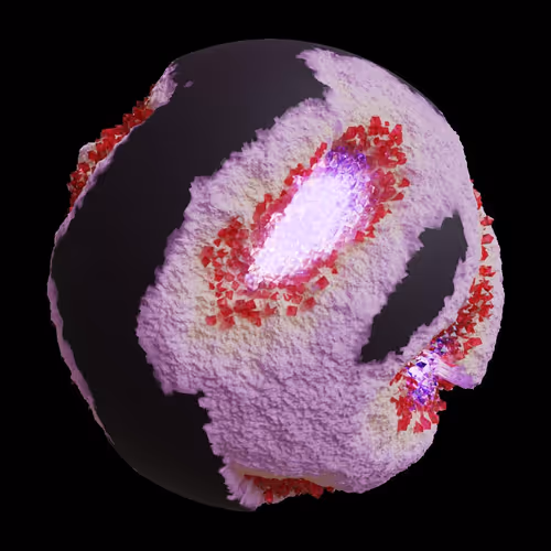 Asm Gen Ii Brains