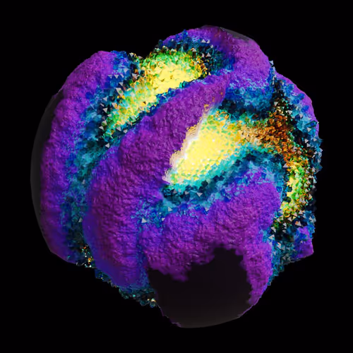 Asm Gen Ii Brains