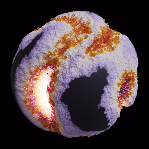 Asm Gen Ii Brains