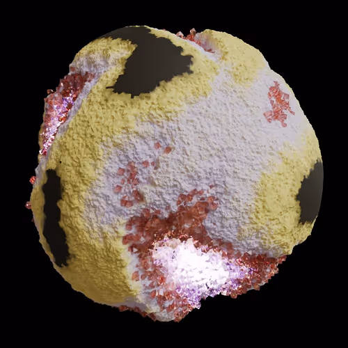Asm Gen Ii Brains