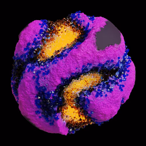 Asm Gen Ii Brains
