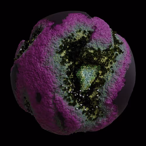 Asm Gen Ii Brains