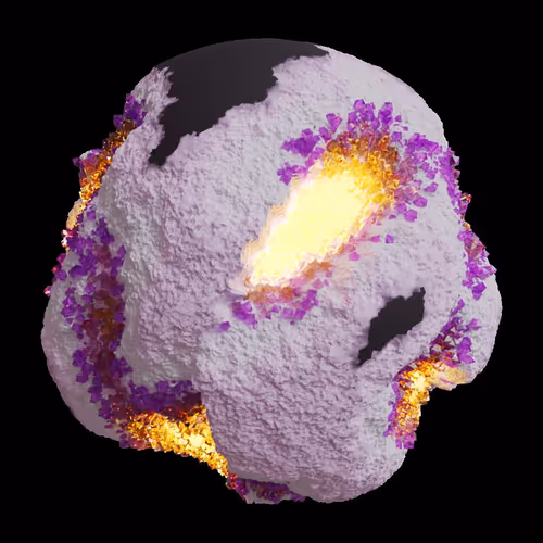 Asm Gen Ii Brains