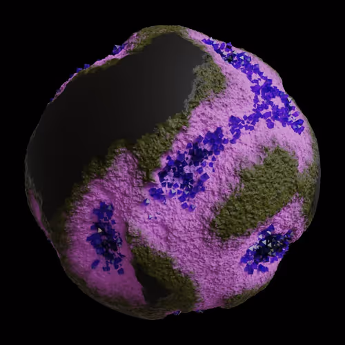 Asm Gen Ii Brains