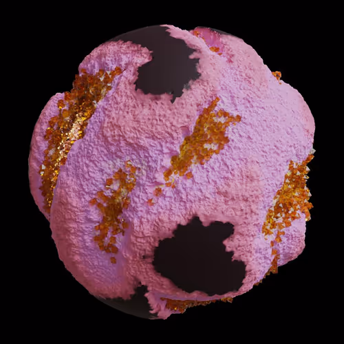 Asm Gen Ii Brains