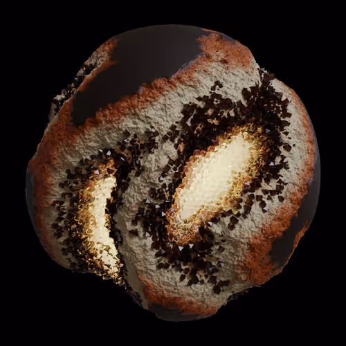 Asm Gen Ii Brains