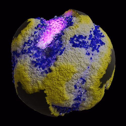 Asm Gen Ii Brains
