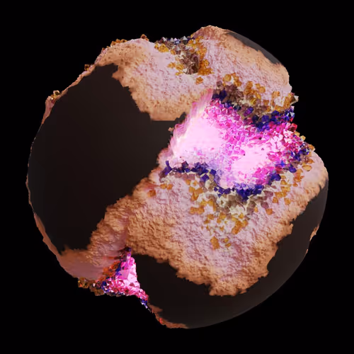 Asm Gen Ii Brains