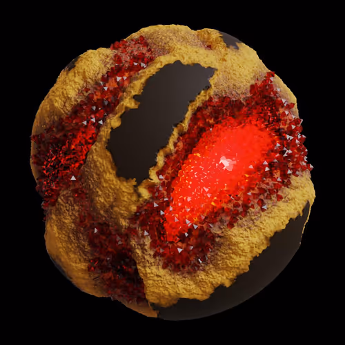 Asm Gen Ii Brains