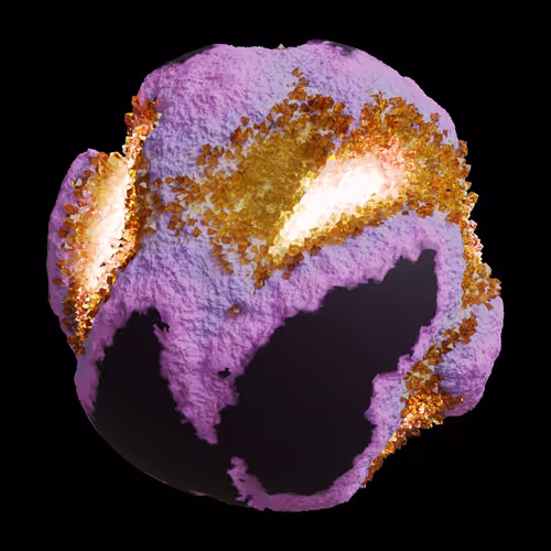 Asm Gen Ii Brains
