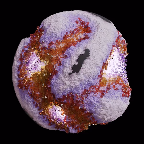 Asm Gen Ii Brains