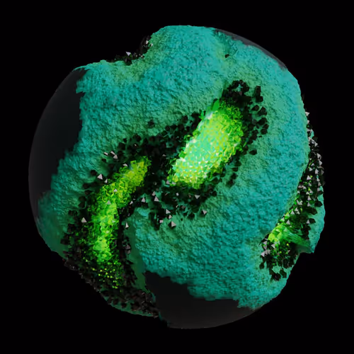 Asm Gen Ii Brains