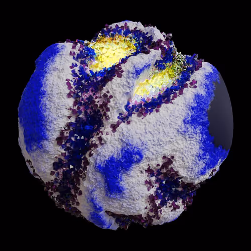Asm Gen Ii Brains