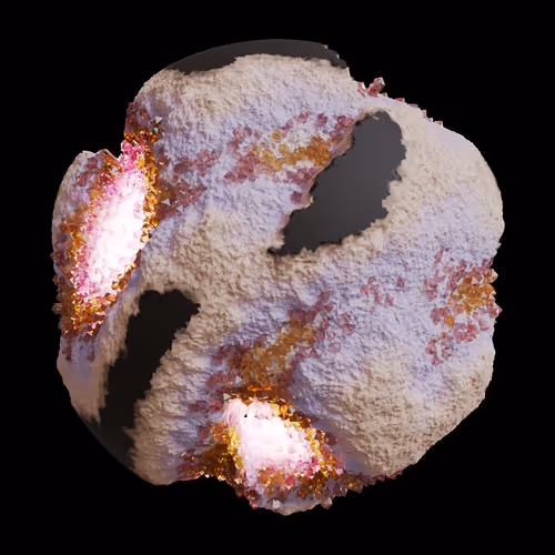 Asm Gen Ii Brains