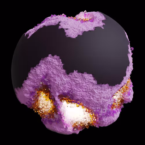 Asm Gen Ii Brains