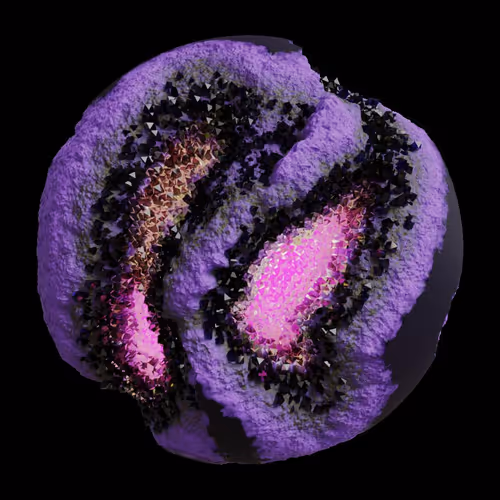Asm Gen Ii Brains