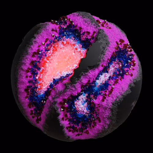 Asm Gen Ii Brains