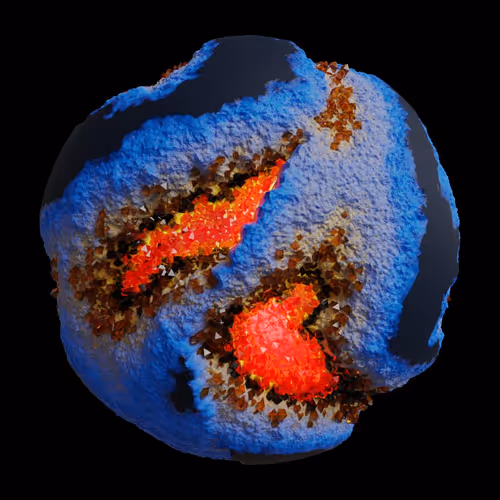 Asm Gen Ii Brains